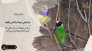 دعای روز پنجشنبه